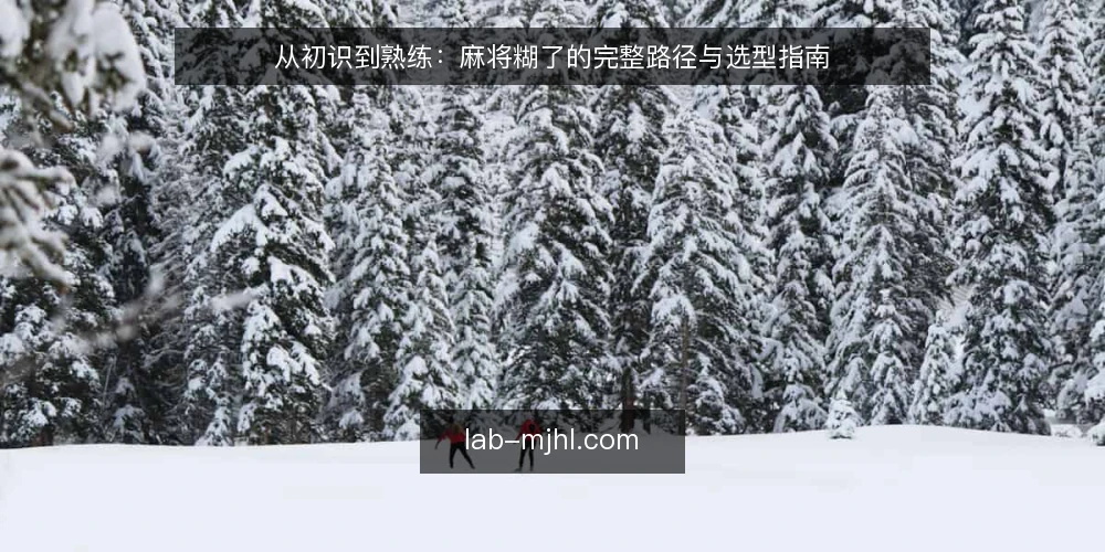 从初识到熟练:麻将糊了的完整路径与选型指南 — 需求定义:从娱乐到竞技的路径起点 配图