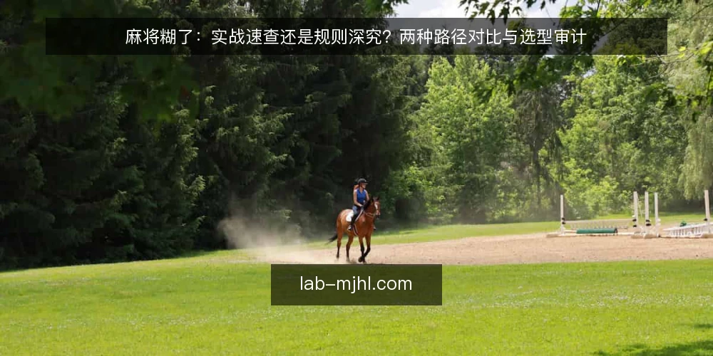 麻将糊了:实战速查还是规则深究?两种路径对比与选型审计 — 为何现在需要审计你的麻将糊了学习路径 配图