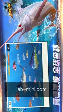专家咨询